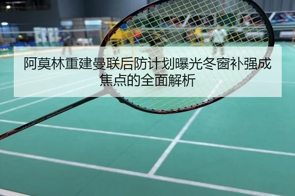 阿莫林重建曼联后防计划曝光冬窗补强成焦点的全面解析